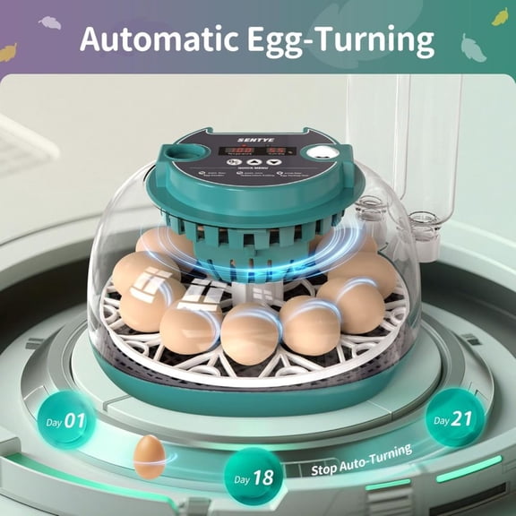 12 Egg Capacity Automatic Incubator LED Temp Display Humidity Control Egg Turner for Chicken Quail