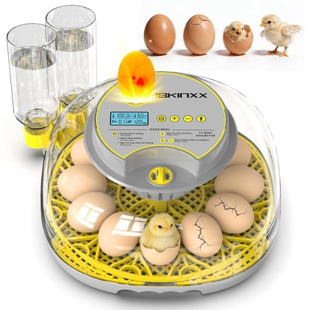 12 Egg Capacity Egg Incubator for Hatching Eggs 2026 New Automatic Egg Turner Egg Hatching Incubator Temp Humidity Control 360 View Chicken Quail Egg Incubators for Chicken Duck Quail Eggs Grey