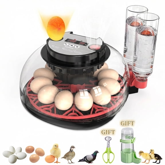 12 Egg Incubator with Automatic Turning and Humidity Control,Egg Candler,Incubators for Hatching Eggs,360° Viewing for Chicken,Quail Eggs,Ideal for Farm,Classroom,Home Use