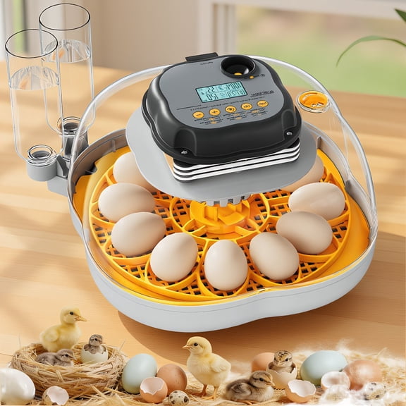 12-Egg Incubator for Chicken and Quail with Auto Turner, Egg Candler, Temp/Humidity Display, Auto Water Refill, 360 Clear View