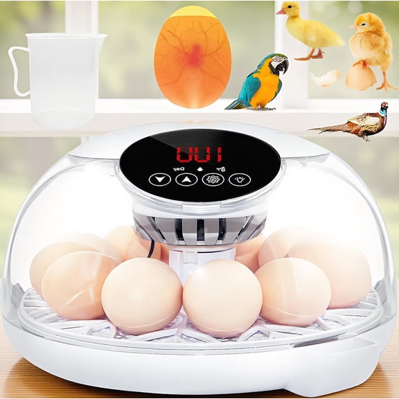 12 Egg Incubator with Automatic Turner, Temperature & Humidity Display, Candler for Chicken Duck Quail, Fahrenheit