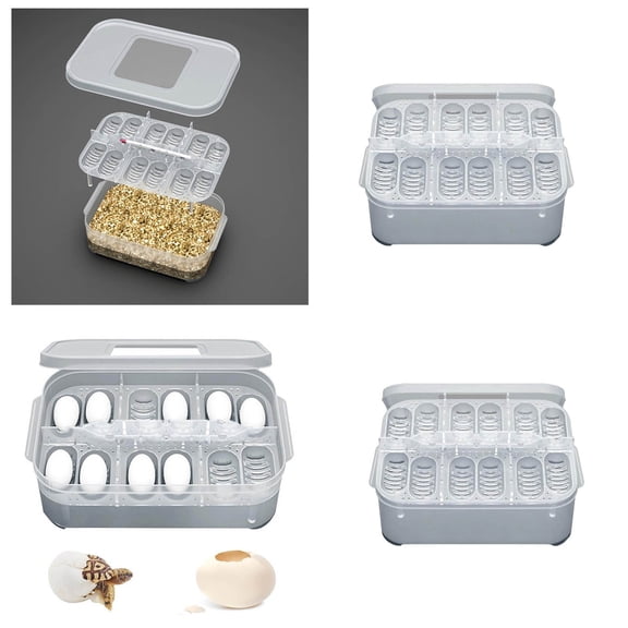12-Egg Reptile Incubation Box, Clear Plastic Hatching Container, Temperature Control Storage Tray for Turtle, Snake, Lizard and Bird Eggs