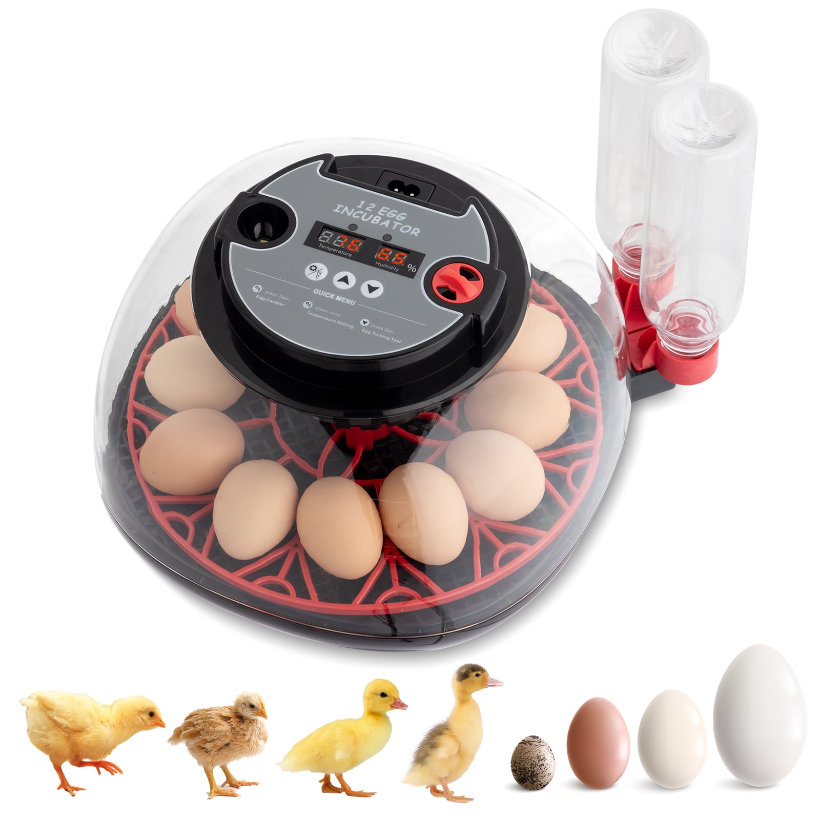 12 Eggs Incubator with Automatic Egg Turning, Temperature and Humidity Control,Auto Water Addition, LED Egg Candler, for Hatching Chickens, Ducks, Geese, Birds, Pigeons and Quail Eggs
