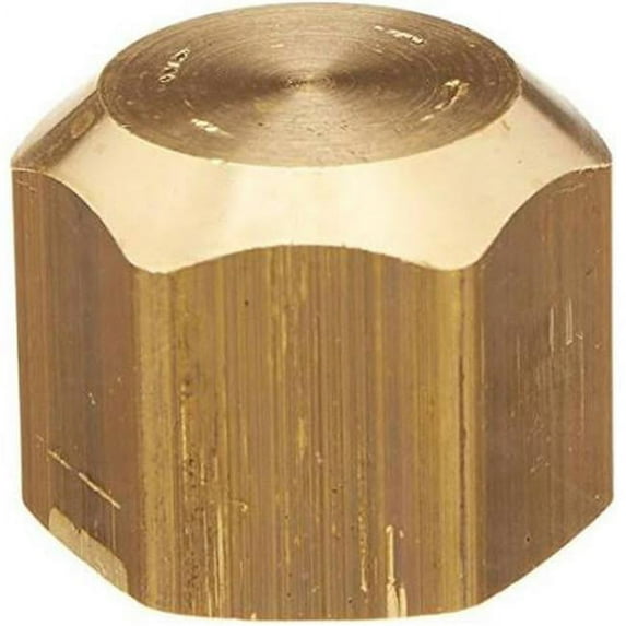 12 Female Ips Brass Cap