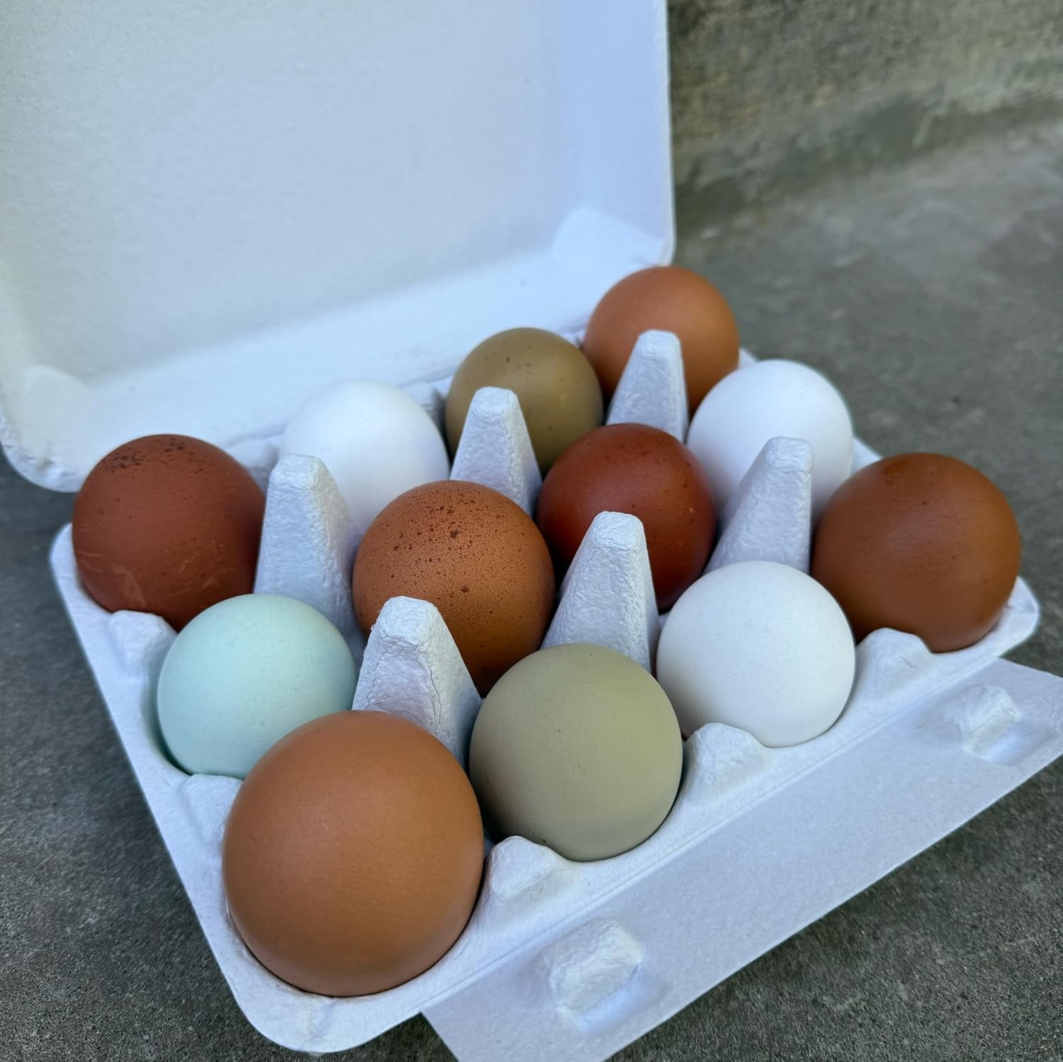 12 Fertilized Chicken Hatching Eggs Fertile Eggs for Classroom, Homeschool, Backyard Chickens Standard Size for Incubation Rainbow Blue Green Olive Brown White Large Fowl for Incubator or Broody Hen