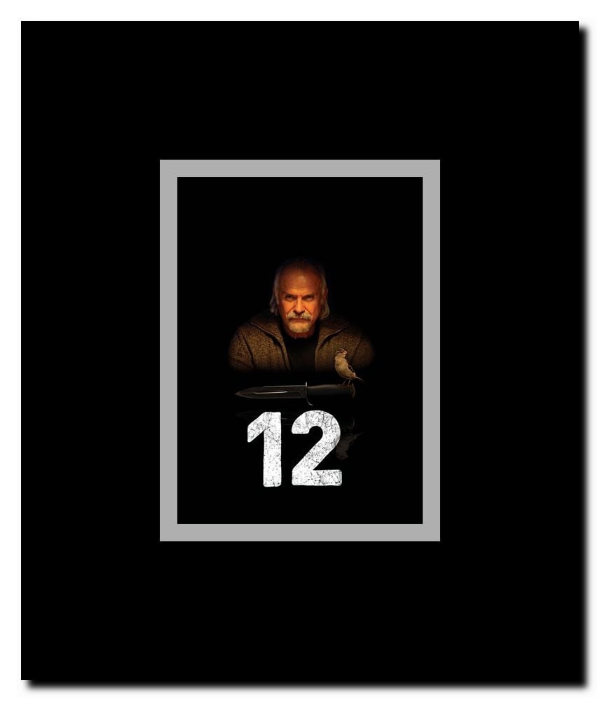 12 Framed Movie Poster