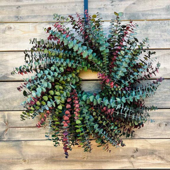 12" Green Wreath with Red Accent for Front Door, Modern Hoop Wreath, Decorative Door Ring, 12 "W x 12 "H x 4 "D, Hanging Decorations for Wall Window Home Decor (24”)