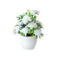 thumbnail image 1 of 12 Headed Chrysanthemum Potted Green Floral Arrangement Desktop For Home Centerpiece Wedding Details Fall Flowers Outdoor Flower Arrangements in Vase Wall Flowers Bouquet Holder for Flowers Winter, 1 of 5