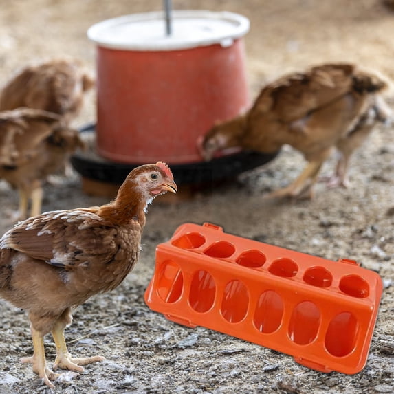 12-Hole Chicken Feeder | Durable Poultry Feed Dispenser | Easy Clean Removable Design | Space-Saving Automatic Chicks Feeder | Efficient Food Distribution for Backyard Farms | Plastic | Multiple