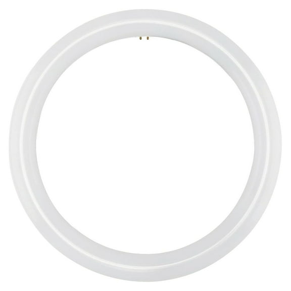 12 Inch/ 12" Plug & Play T9 Circline LED Lamp - Cool White (4200K) Circular Bulb Directly Relamp 32 Watt Fluorescent Bulb FC12T9/CW, FCL32 (without rewiring or modification) - Ballast Required!