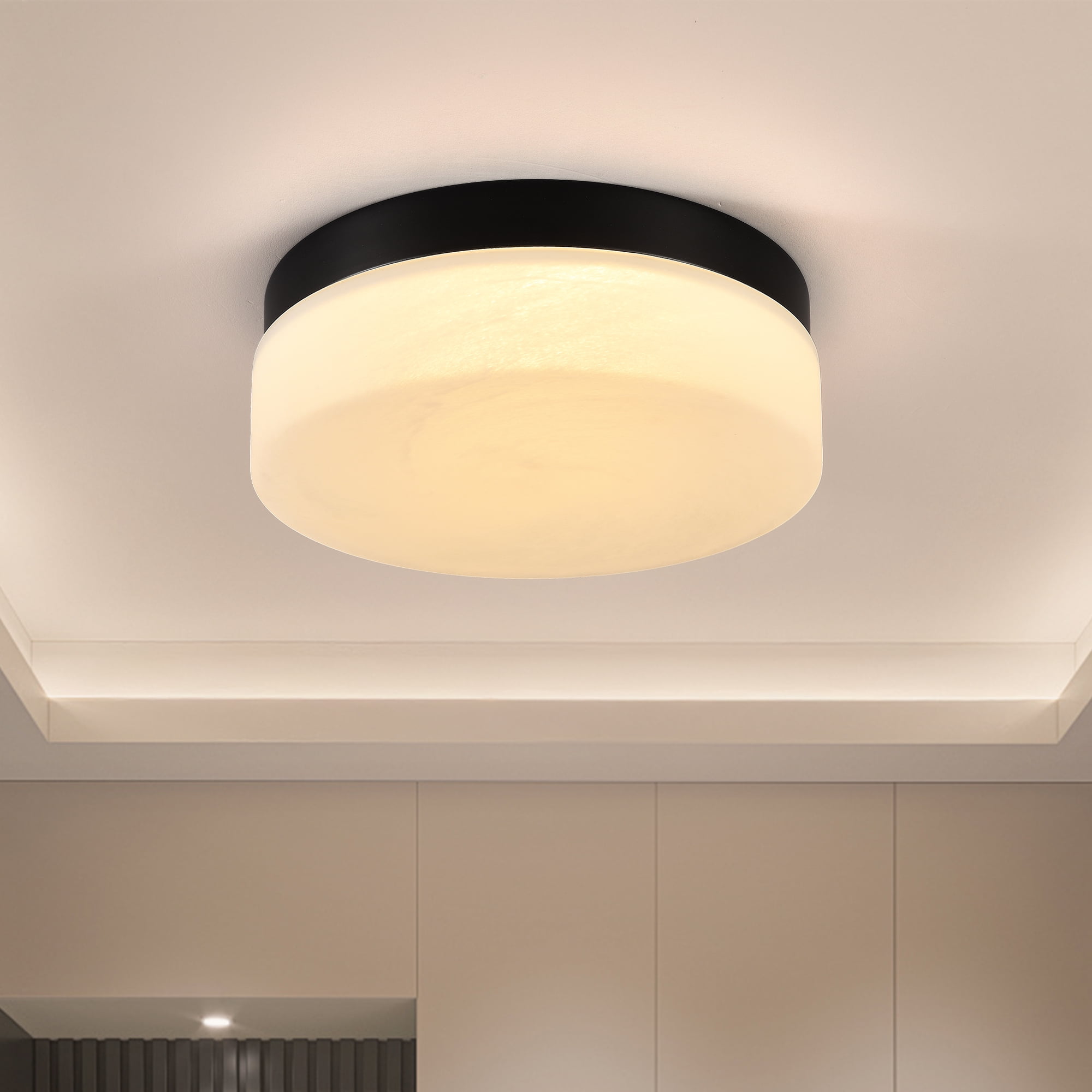 12 Inch 24W LED Flush Mount Ceiling Light, Round Low Profile Close to Ceiling Light Fixture, Black Modern Ceiling Lamp for Bedroom, Living Room, Dining Room, Hallway, Kitchen, Energy Saving, Easy Ins