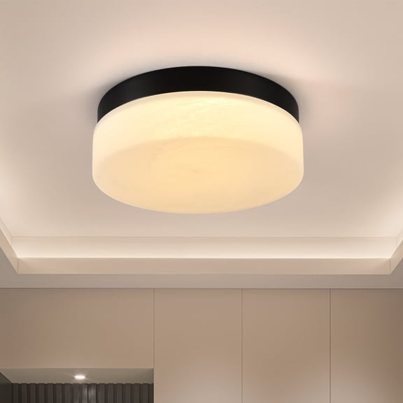 12 Inch 24W LED Flush Mount Ceiling Light, Round Low Profile Close to Ceiling Light Fixture, Black Modern Ceiling Lamp for Bedroom, Living Room, Dining Room, Hallway, Kitchen, Energy Saving, Easy Ins