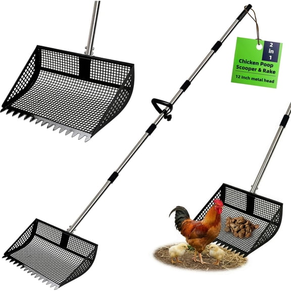 12 Inch Chicken Poop Scooper & Rake 2-in-1,5 Adjustable Levels 24.4" to 77.2" Chicken Coop Scooper for Cleaning,Shovel Metal Head, Chicken Coop Rake and Scoop with Handle,Stainless Steel
