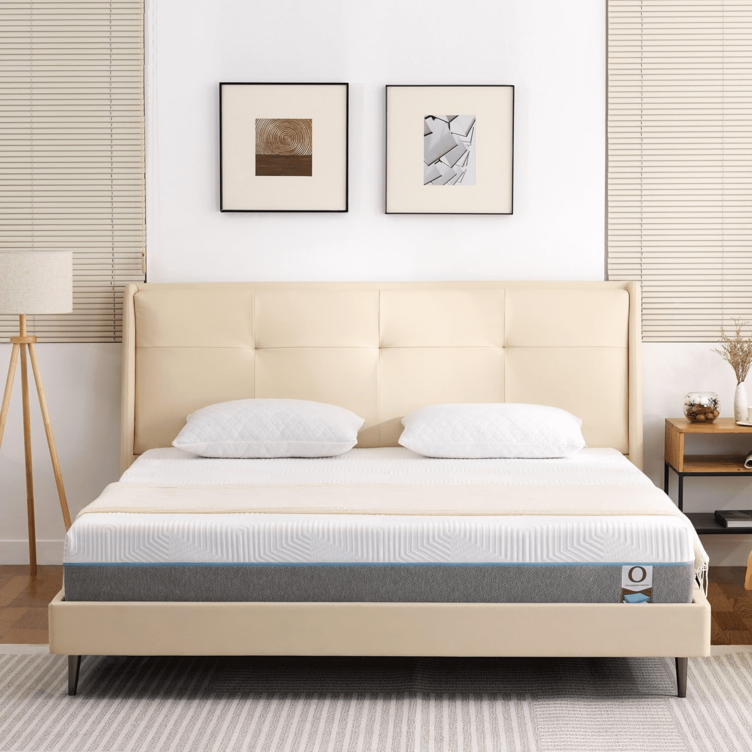 12 Inch Gel Memory Foam Mattress in a Box for Back Pain Relief, Medium ...
