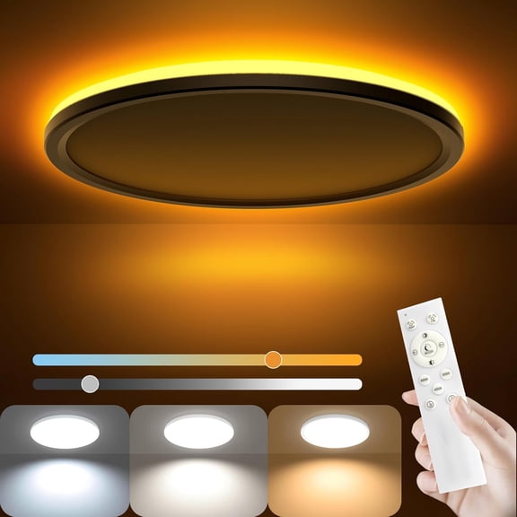 12 Inch LED Dimmable Ceiling Light - 24W 2400LM Modern Lamp with Remote Control - 6W Night Light - Warm White LED Flush Mount for Bedroom Kitchen Living Room (Round)