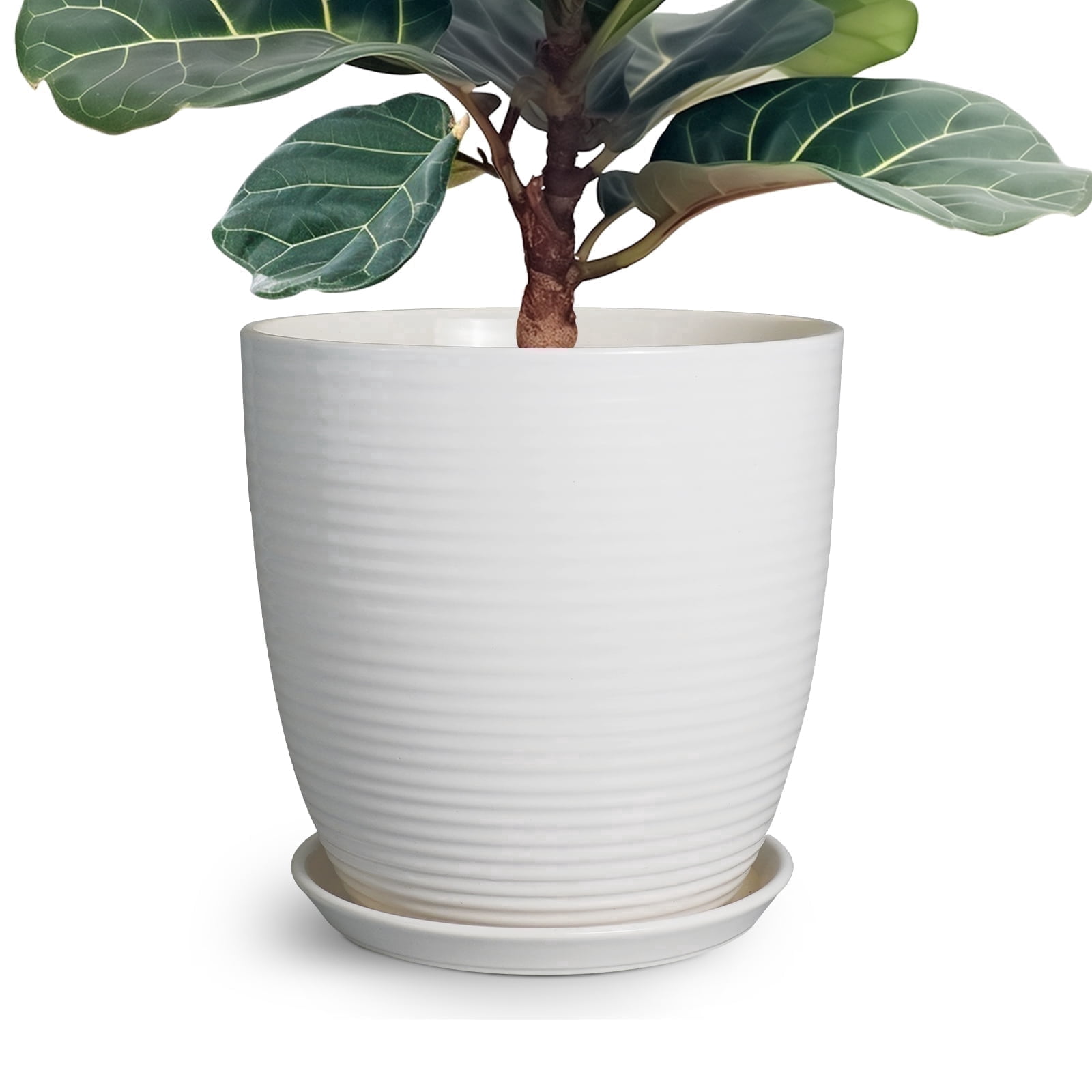 EPFamily 12 Inch Matte White Ceramic Planter with Drainage Hole and Saucer – Large Round Flower Pot for Indoor Plants, Fiddle Leaf Fig, Housewarming Gift