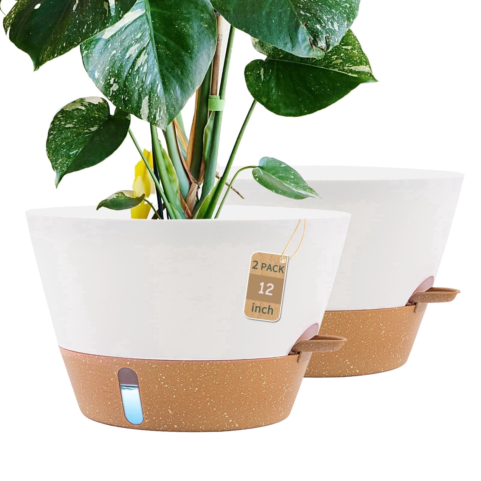 FIASON 2 Pack Plastic 12 Inch White with Brown Self Watering Plant Pots ...