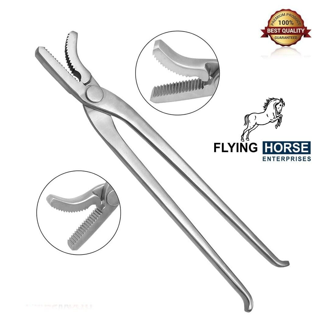 12-Inch Stainles Steel Hoof Clincher –Heavy-Duty Farrier Tool for Easy ...