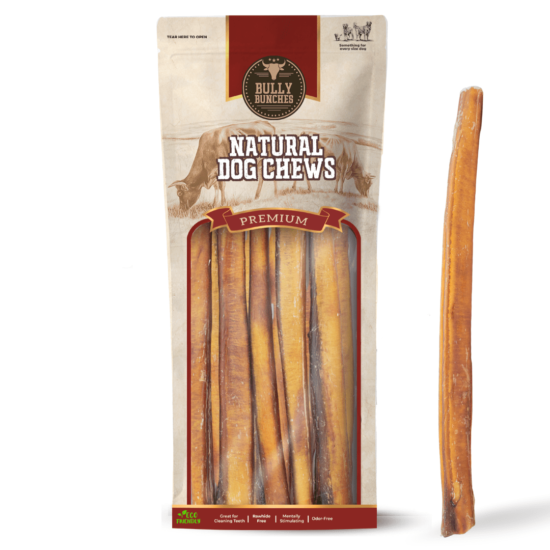 Bully Bunches Premium 12 Inch Thick Bully Stick - 10 Pack