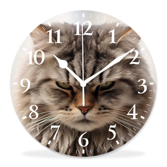 12 Inch Wall Clock Battery Operated Silent Clock Decorative for Office, Kitchen, Outdoor, Living Room,Curious Cat Face Looking Up Beautiful