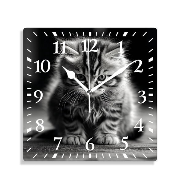 12 Inch Wall Clock Battery Operated Silent Clock Decorative for Office, Kitchen, Outdoor, Living RoomBlack Cat Cute American Cat Kitten Animal Glowing Eyes Print
