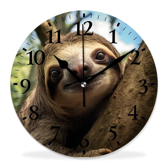 12 Inch Wall Clock Battery Operated Silent Clock Decorative for Office, Kitchen, Outdoor, Living RoomCute Sloth Animal Hanging on Jungle Tree Branch forest Style