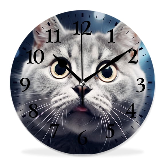 12 Inch Wall Clock Battery Operated Silent Clock Decorative for Office, Kitchen, Outdoor, Living RoomFunny Crazy Surprised Wide Big Eye Cat American Shorthair Adorable