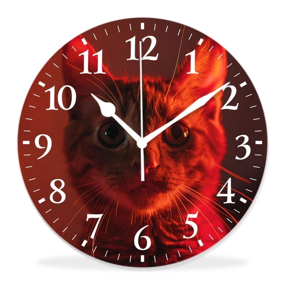12 Inch Wall Clock Battery Operated Silent Clock Decorative for Office, Kitchen, Outdoor, Living RoomFunny Crazy Wide Big Eye Cat American Shorthair Fantastic