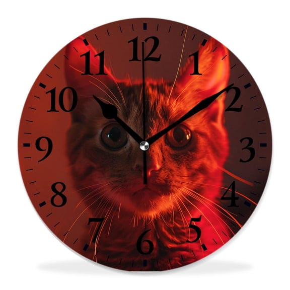 12 Inch Wall Clock Battery Operated Silent Clock Decorative for Office, Kitchen, Outdoor, Living RoomFunny Crazy Wide Big Eye Cat American Shorthair Fantastic
