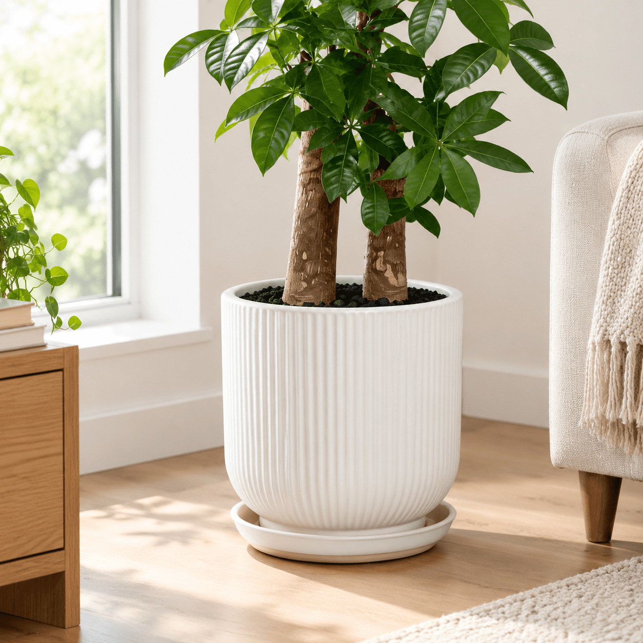 Caramic Pot 12 Inch White Ceramic Plant Pot with Drainhole and Saucer for Indoor ...