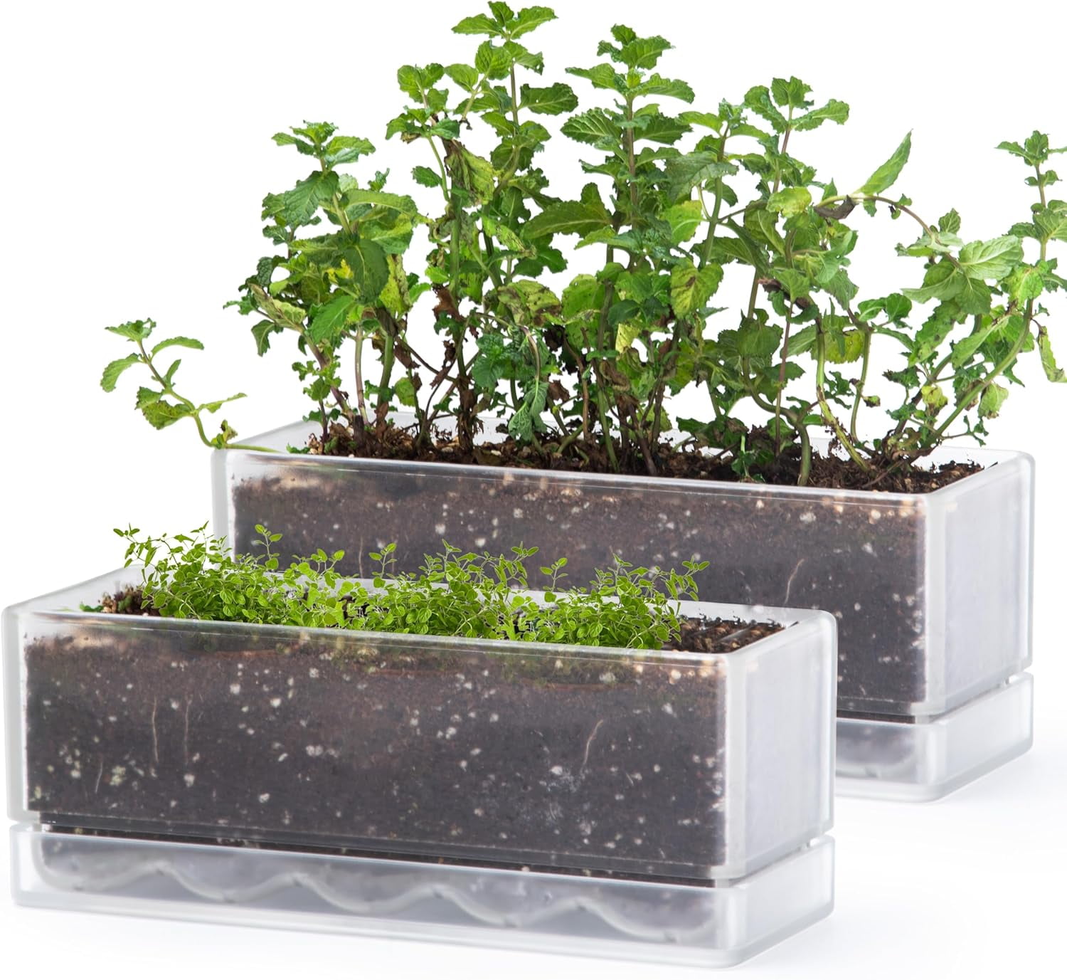 12 Inch Window Box Planter, Rectangle Acrylic Herb Planter with Drainage Holes and Saucer, Indoor Succulent Cactus Vegetable Pot for Windowsill, Garden Balcony, Clear, Set of 2, 76-X-D-2