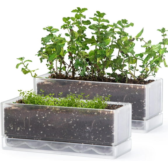 12 Inch Window Box Planter, Rectangle Plastic Herb Planter with Drainage Holes and Saucer, Indoor Succulent Cactus Vegetable Pot for Windowsill, Garden Balcony, Clear, Set of 2