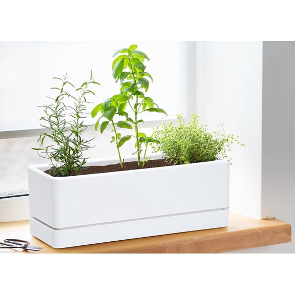 12 Inch Window Box Planter, White Rectangular Plastic Herb Planter with Drainage Holes and Saucer for Indoor Succulent Cactus Vegetable Pot, Set of 2