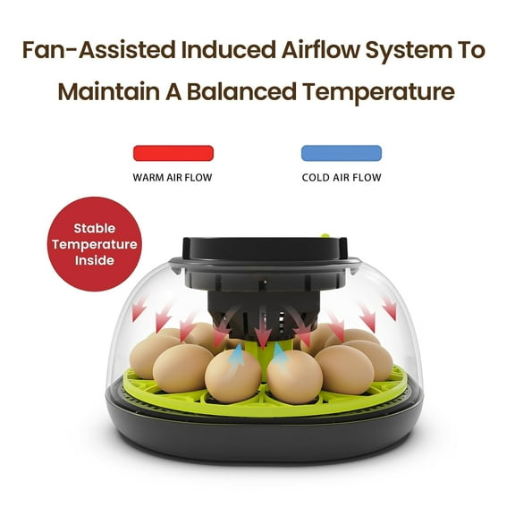 12- Incubator with Auto  Turning & Humidity Control for Chicken & Quail Eggs