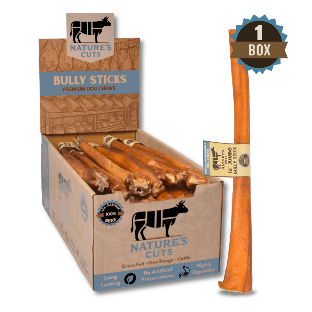 12" Jumbo Bully Sticks Display Box (30 ct) with Individual UPC Tags - 100% All Natural Beef