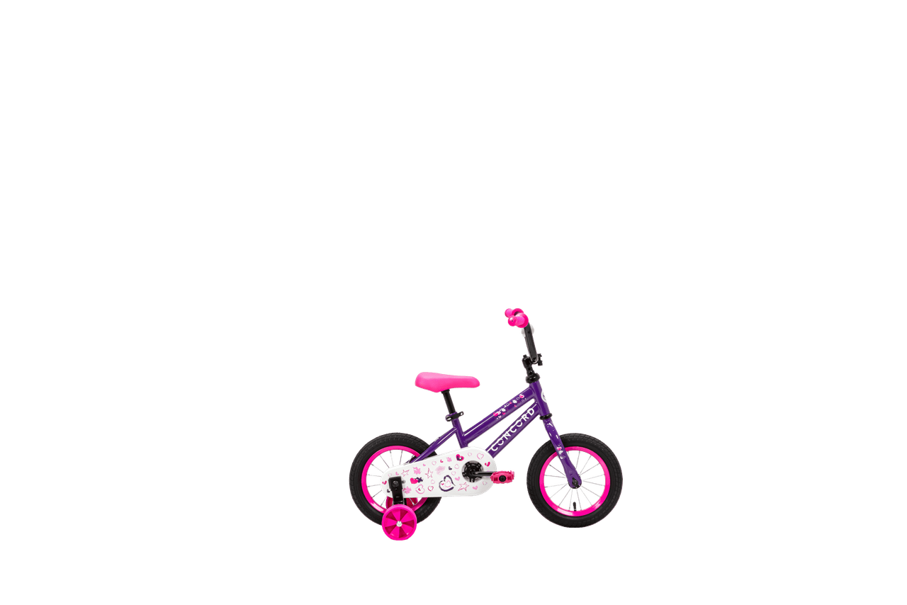 12 KIDS BIKE PURPLE