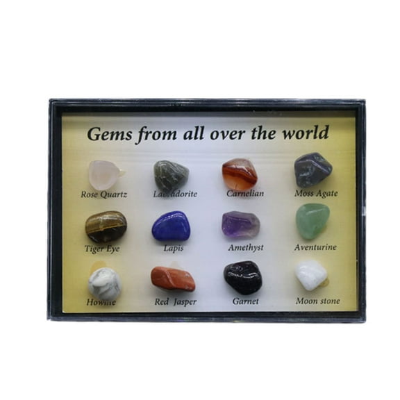12 Kinds of Natural Crystal Specimens Gift Box Elegant Decorative Collection, Educational Home Display, Unique Natural Crystal Dcor for Lovers & Families