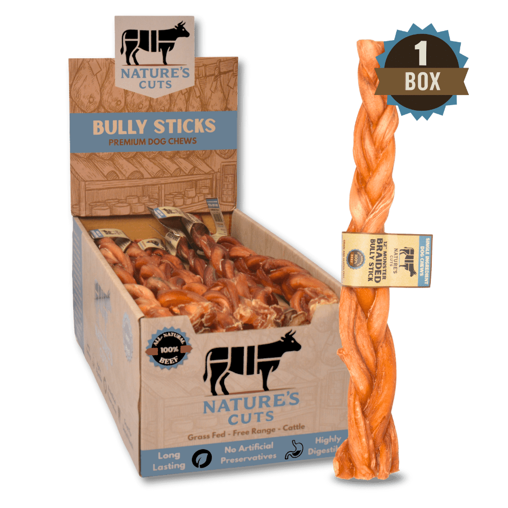 12" Monster Braided Bully Sticks Display Box (10 ct) with Individual UPC Tags - 100% All Natural Beef