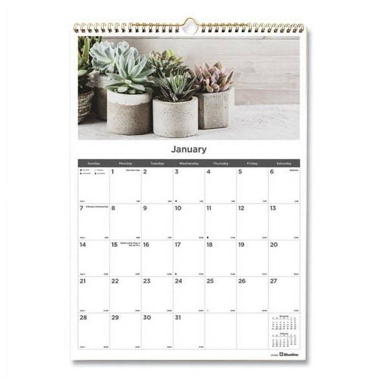 Erasable Wall Calendar, 12 x 17, White Sheets, 12-Month (Jan to Dec): 2024 Erasable Wall Calendar, 12 x 17, White Sheets, 12-Month (Jan to Dec): 2024