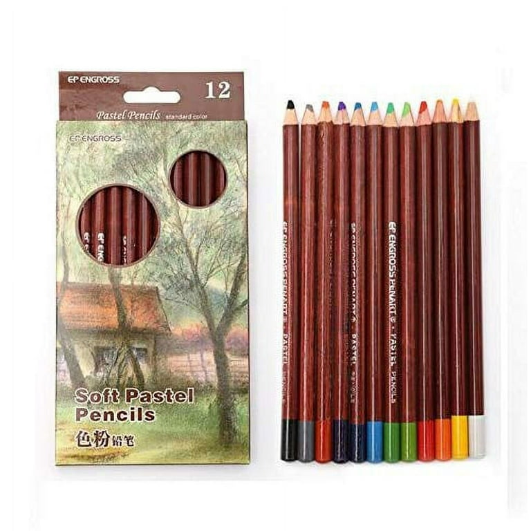 12 Non-toxic Professional Soft Pastel Pencils Drawing Sketches