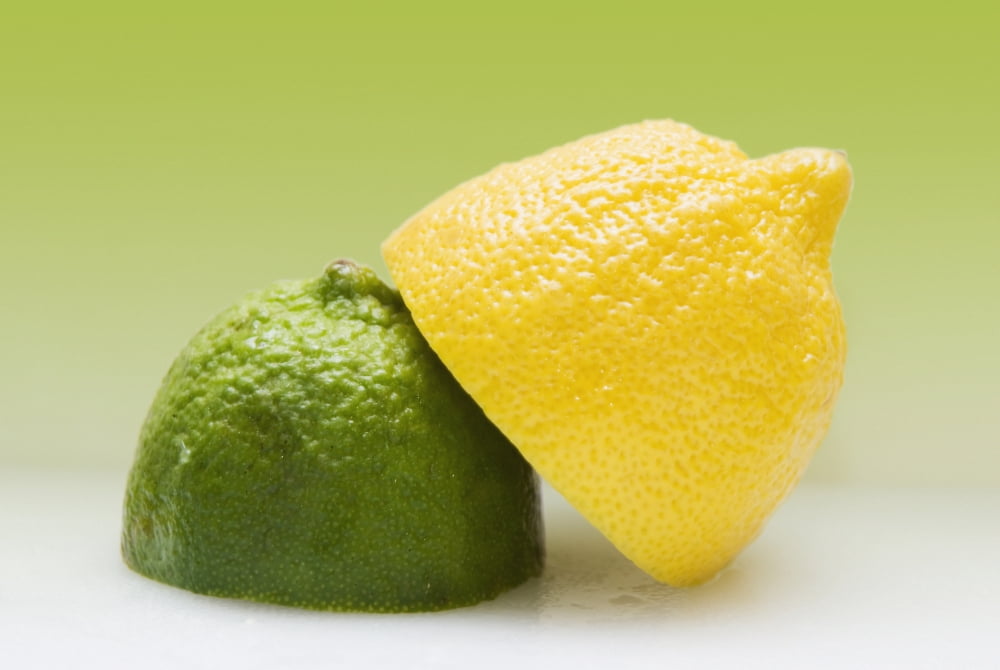 12 Organic Lemon And 12 Lime Canvas Art - Marlene Ford Design Pics (17 x 11)