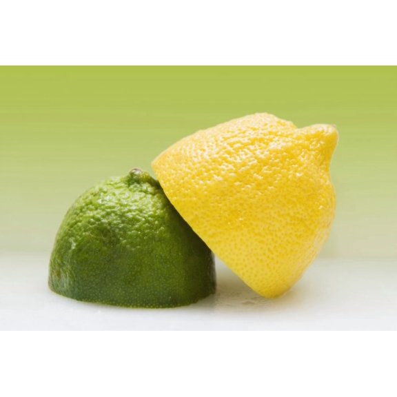 12 Organic Lemon And 12 Lime Canvas Art - Marlene Ford Design Pics (34 x 22)