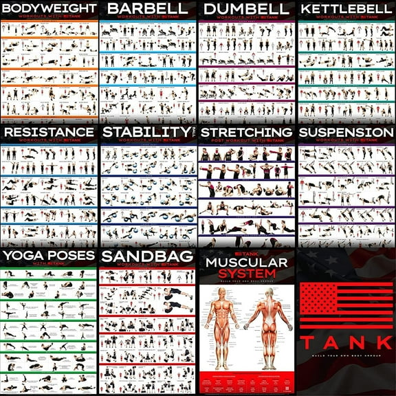 [12-PACK] Laminated Large Workout Poster Set - Perfect Workout Posters for Home