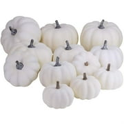 12 PC Artificial White Pumpkins,Foam Faux Carvable Pumpkin,Fake Mini Assorted Pumpkins,Fall Plastic Decorative Vegetable for Halloween Harvest,Thanksgiving,Christmas Party Home Decor