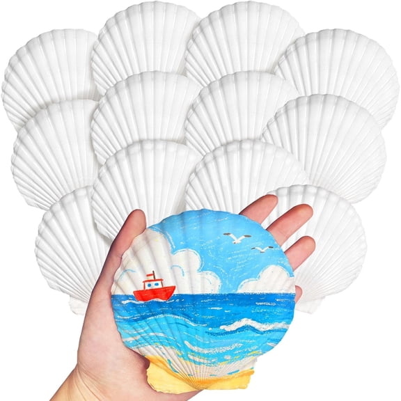 12 PCS 4-5 Inch Large Scallop Seashells,Natural White Shells for Crafting DIY Painting,Big Sea Shells for Home,Fish Tank,Wedding,Beach Party,Christmas Decorations