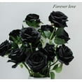 thumbnail image 1 of 12 PCS Artificial Flowers Roses Fake Silk Flowers Long Stem Faux Flowers Roses for Home Wedding Party Outdoor Decorations(Black with Green Leaves), 1 of 7
