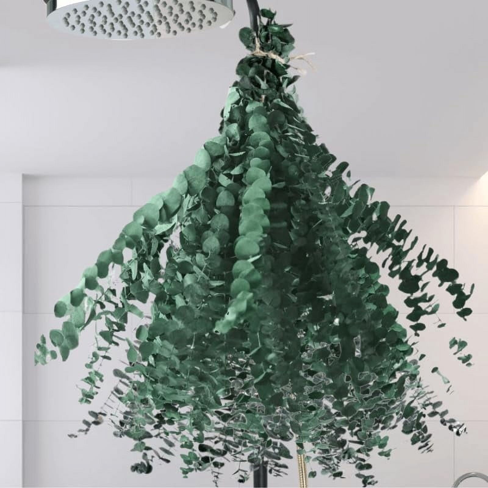 12 PCS Dried Eucalyptus Stems for Shower - 17" Large Preserved ...