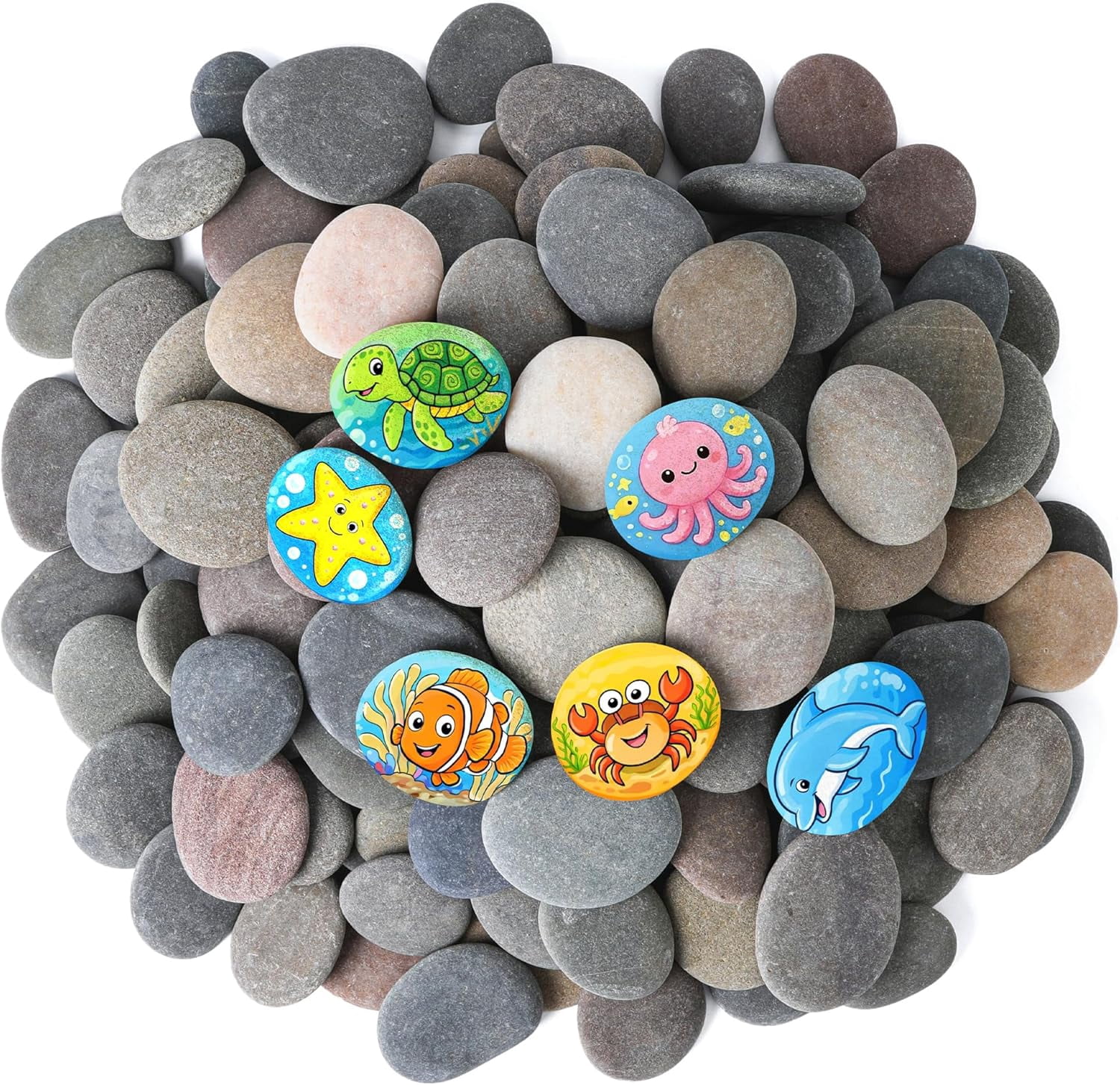 12 PCS Large 2.15-3.35