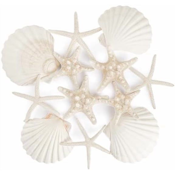12 PCS Natural Starfish 4-5" and Scallop Shell for Crafts Making Beach Theme Party Wedding Decoration, Home Wall Decor, Christmas Ornaments$$Home Decor, Kitchen, & Other