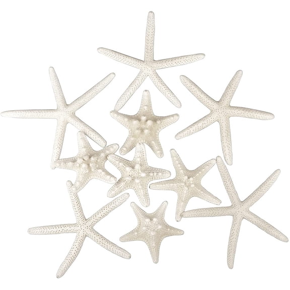 12 PCS Starfish 2-6 Inch Mixed Starfish Natural Seashells Starfish Star Fish Shells Decorations Perfect for Wedding Decor Beach Theme Party, Home Decorations, DIY Crafts, Fish Tank